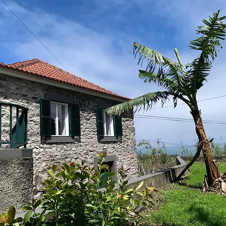 Amelia's House Сейшал